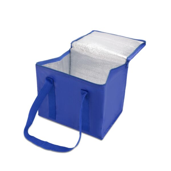 Bolsa Térmica 12 Litros - Imagem 4